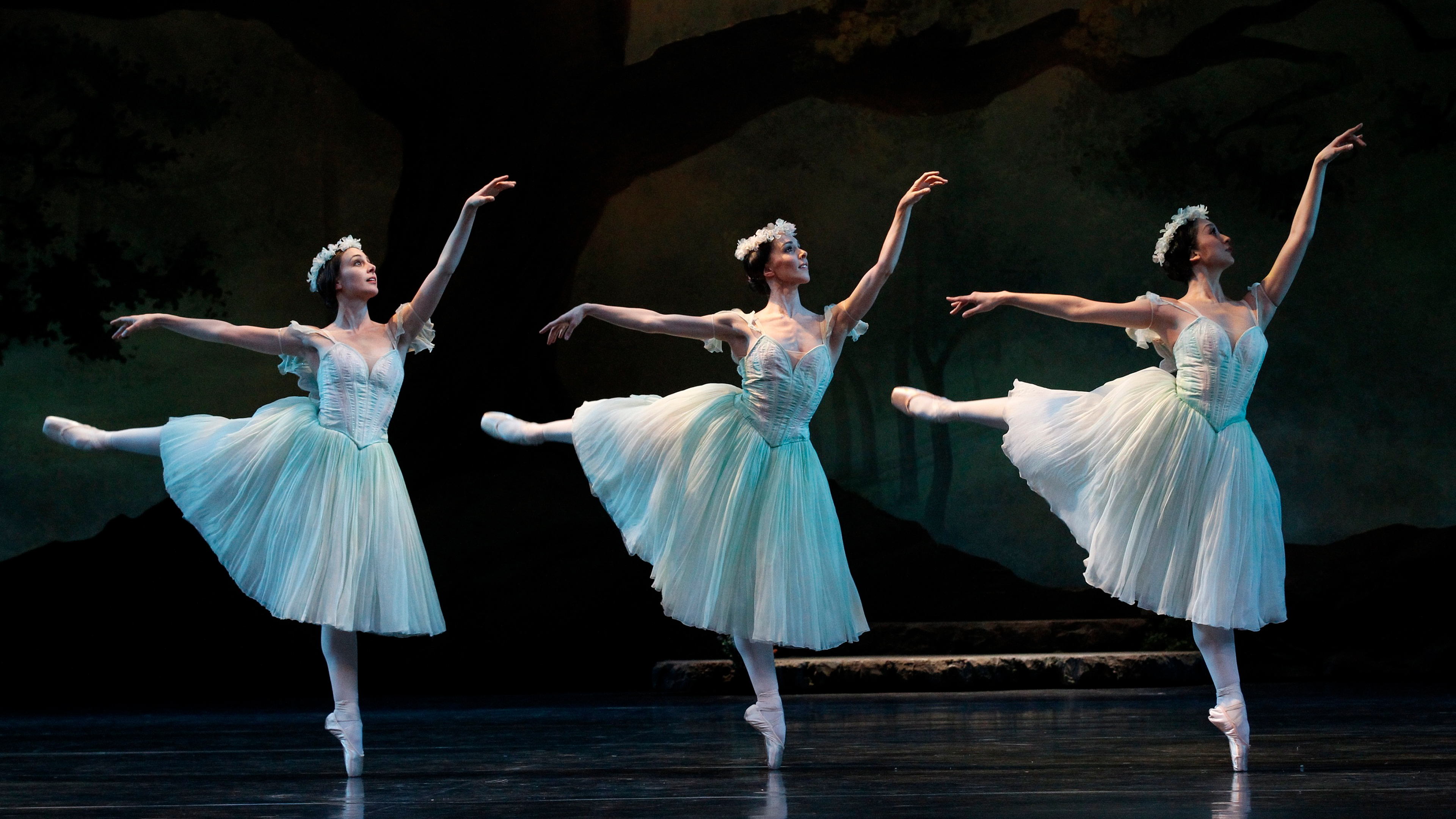 The Australian Ballet Stream Sydney Opera House