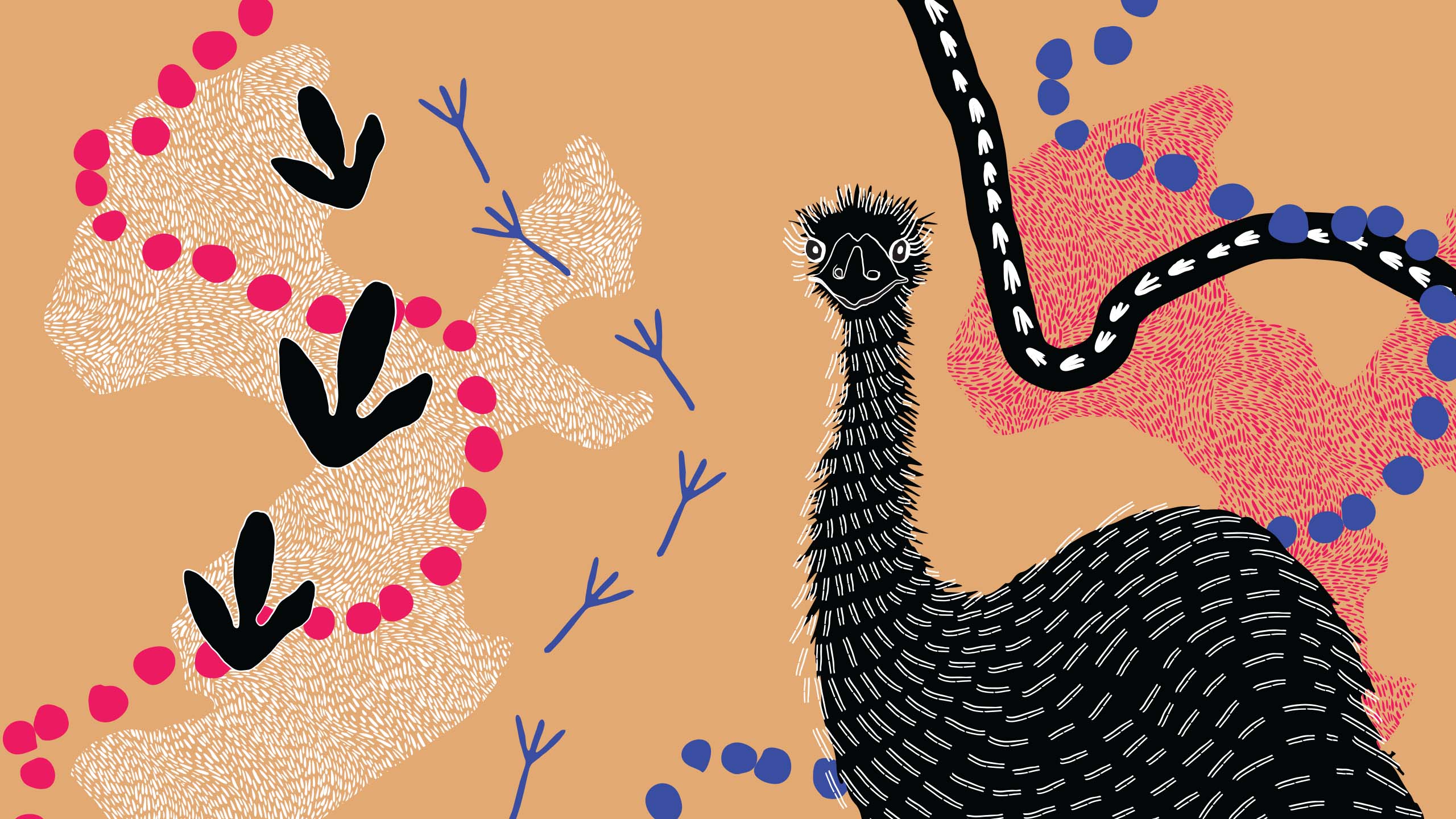 DanceRites 2023 - The Finals