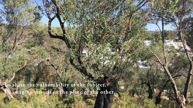 Koki Tanaka - Reflective Notes (Recon...