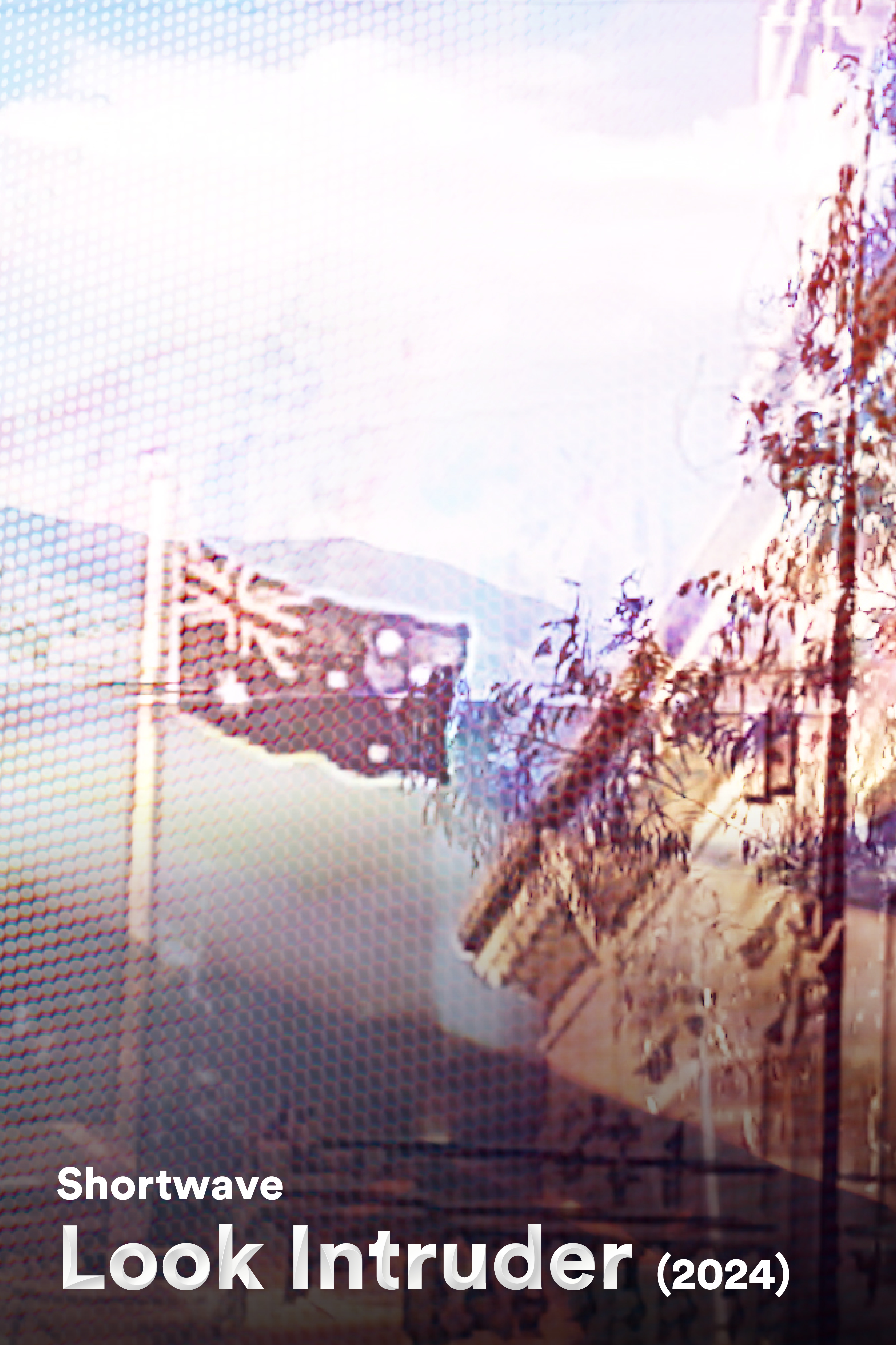 Shortwave: Tahlia Palmer - Look Intruder (2024)