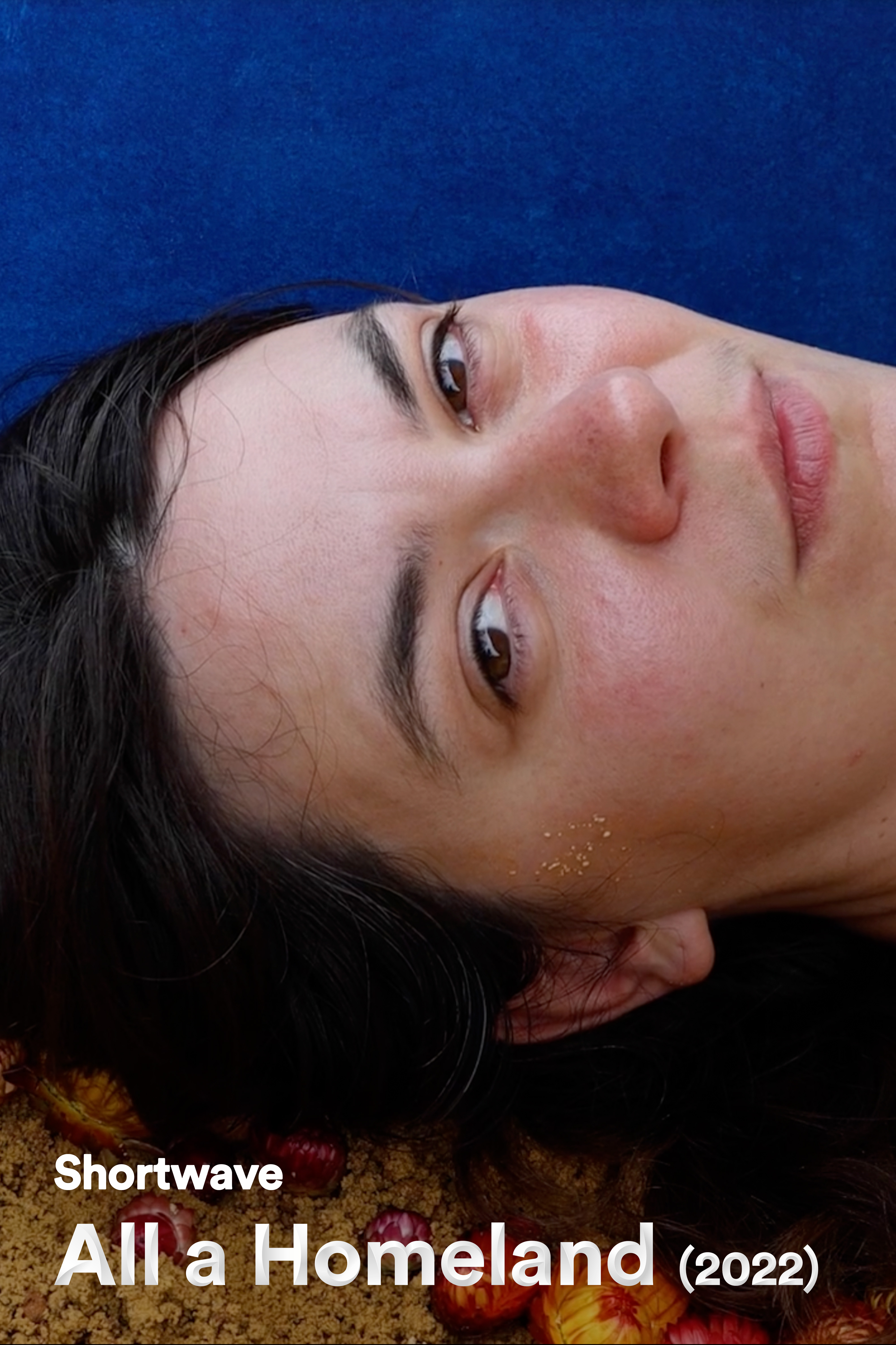 Shortwave: Jazz Money - All a Homeland (2022)