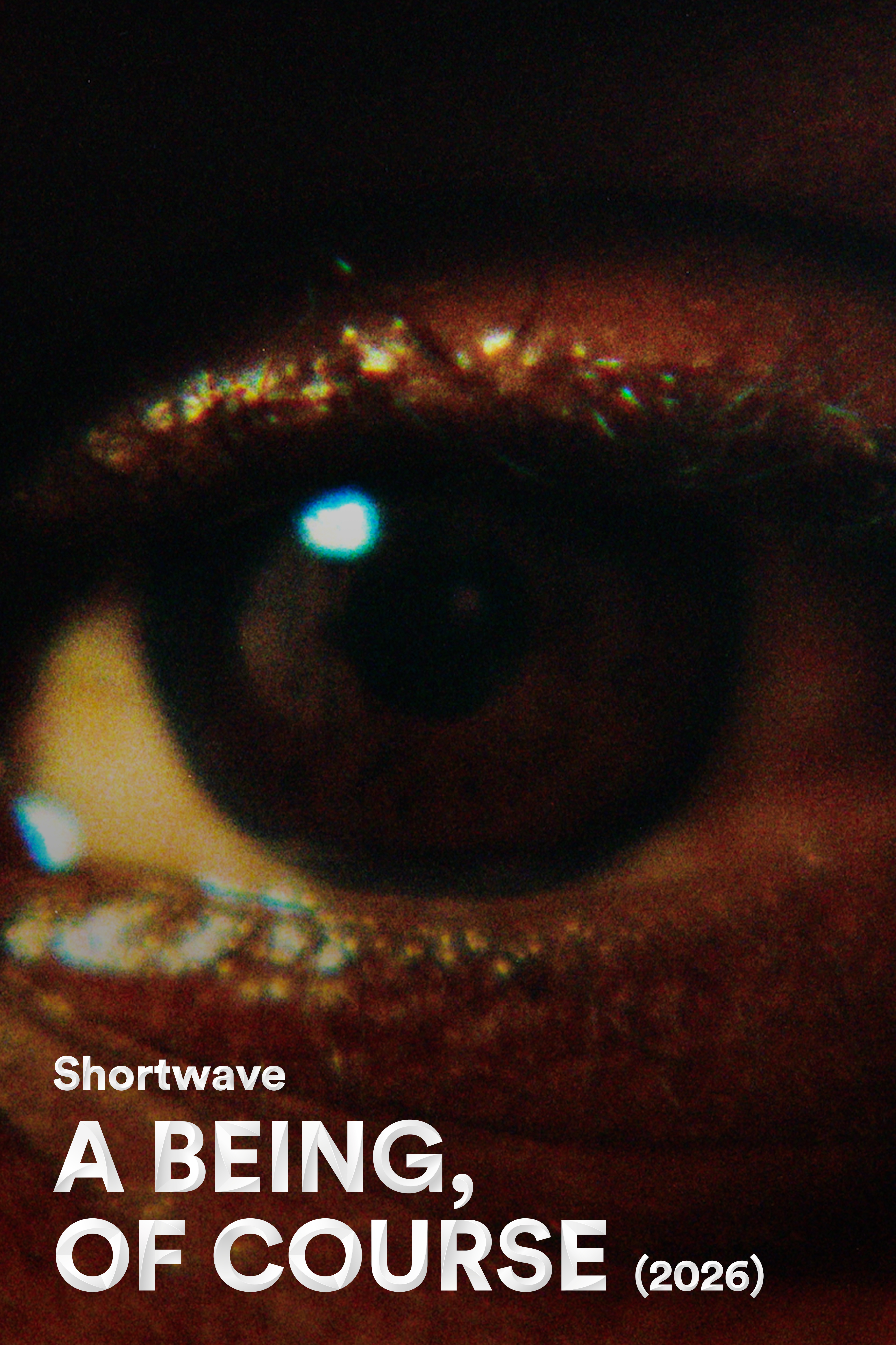 Shortwave #22: Fetle Wondimu Nega & Kalu Oji - A BEING, OF COURSE (2026)