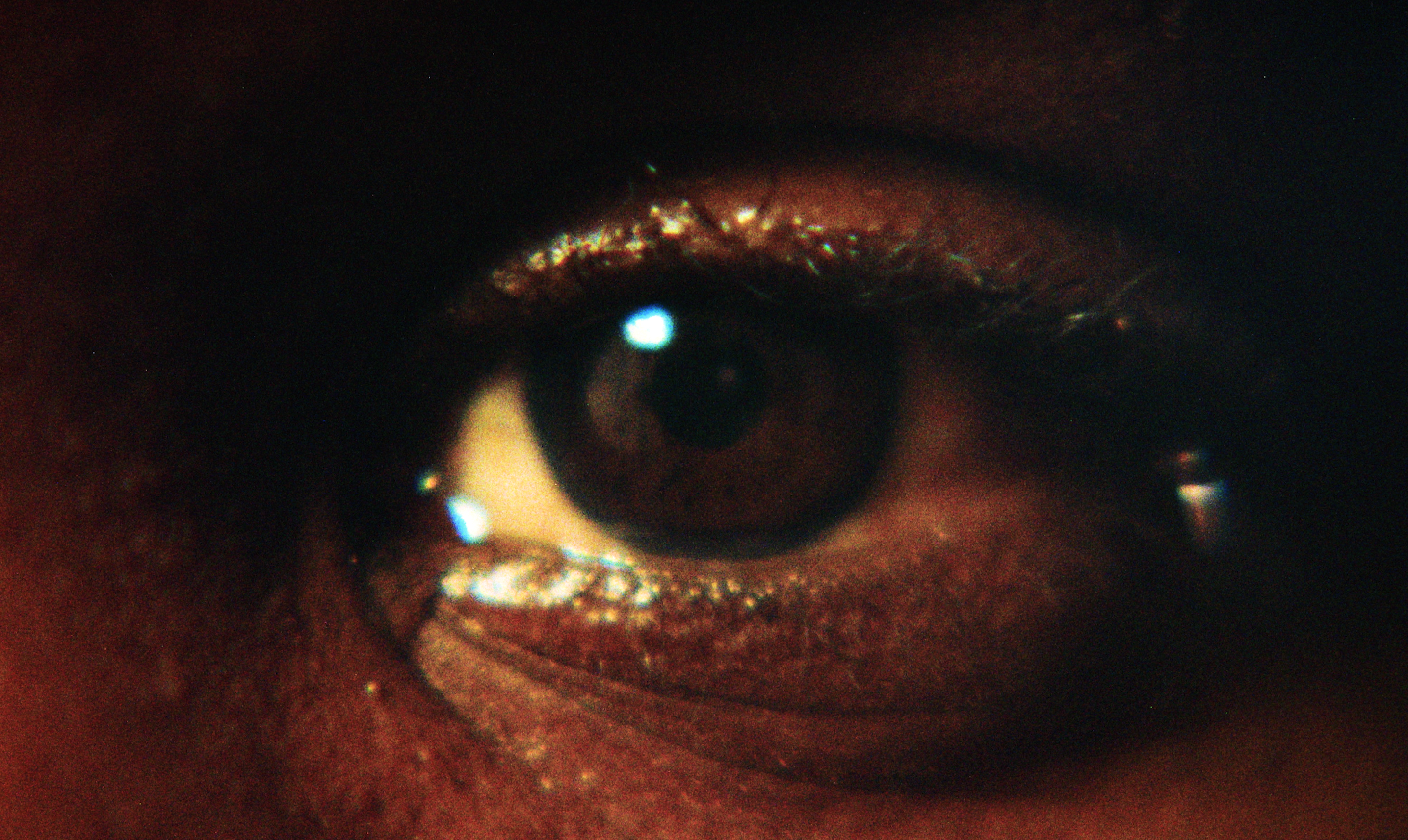 Shortwave #22: Fetle Wondimu Nega & Kalu Oji - A BEING, OF COURSE (2026)