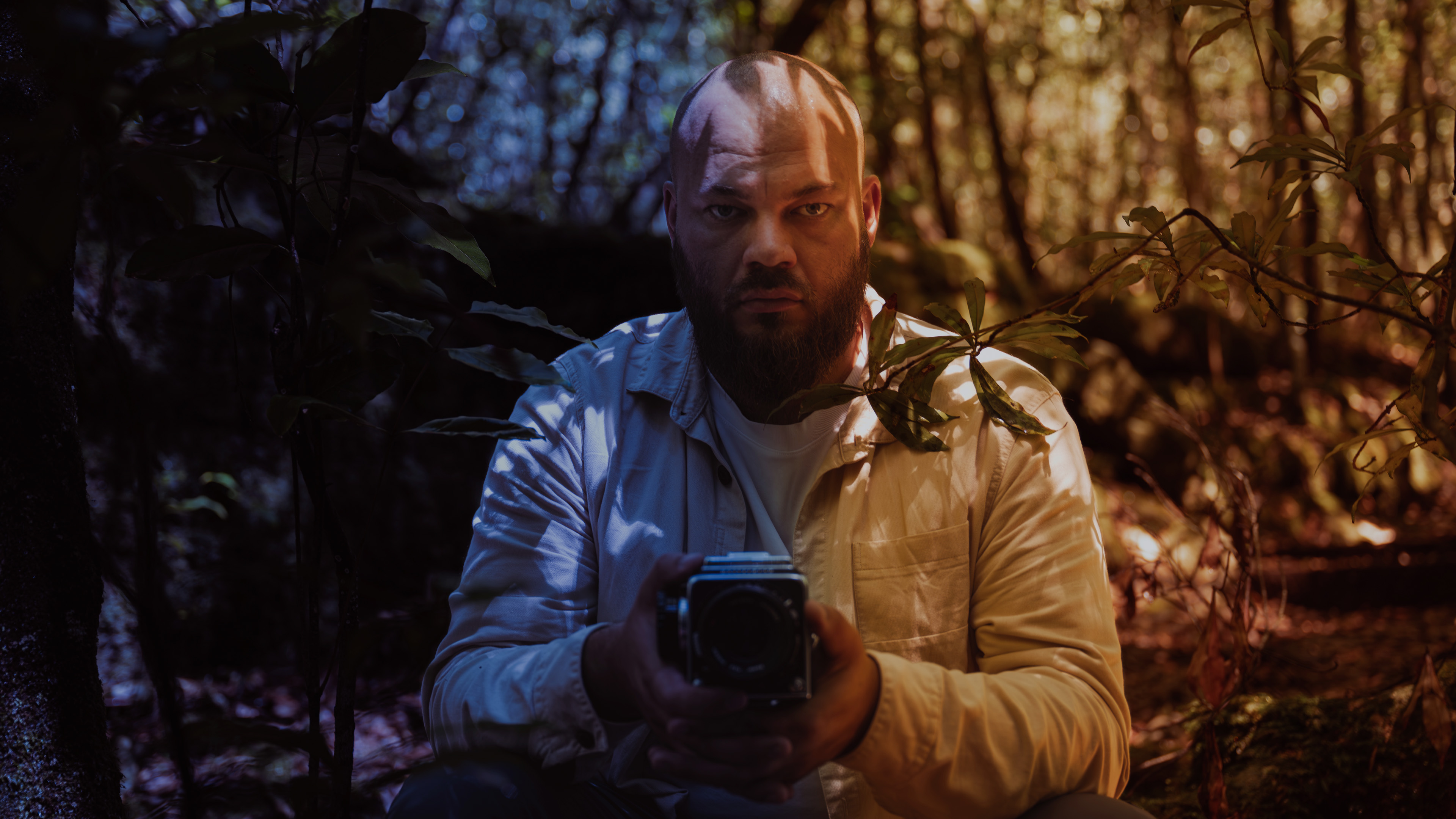 Shortwave #23: Travis De Vries - In The Forest I Found Myself (2026)