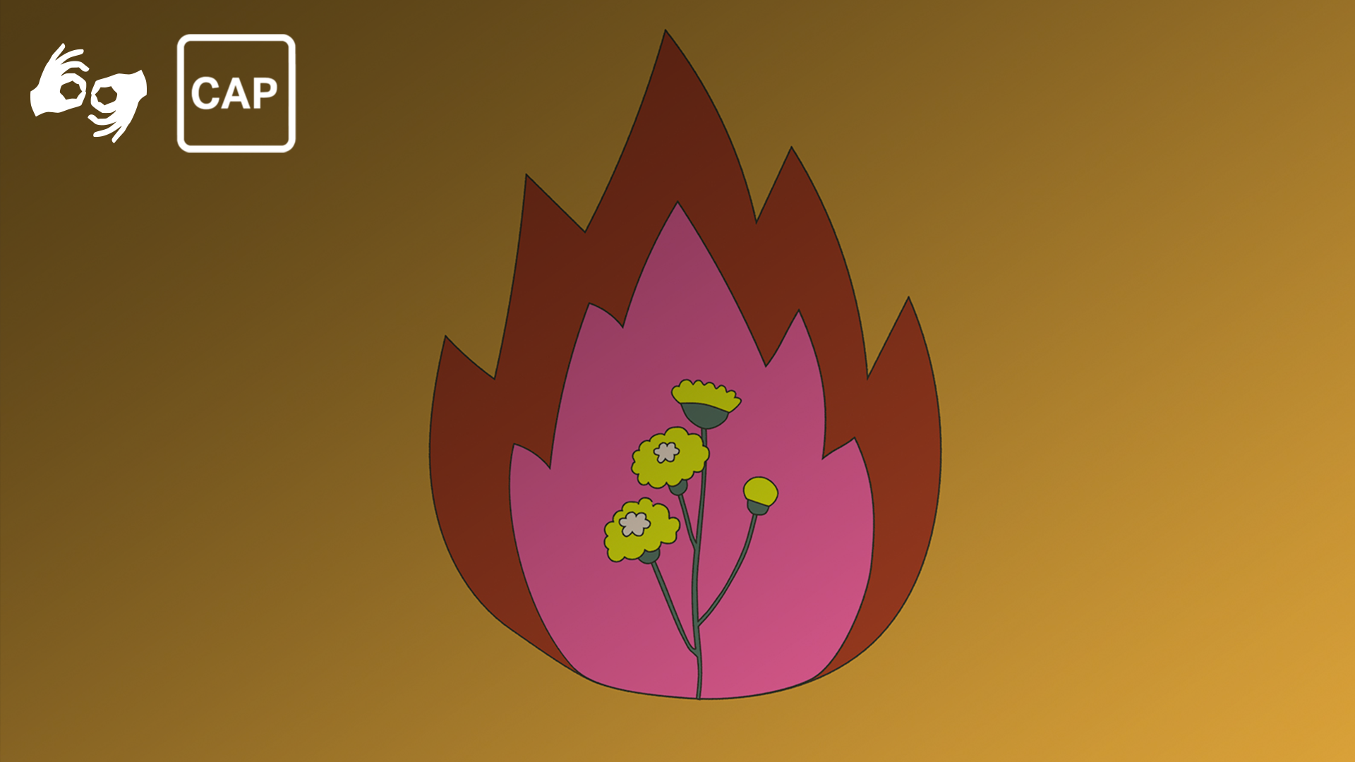 Life: A Survival Guide - All About Women 2021 (Auslan)