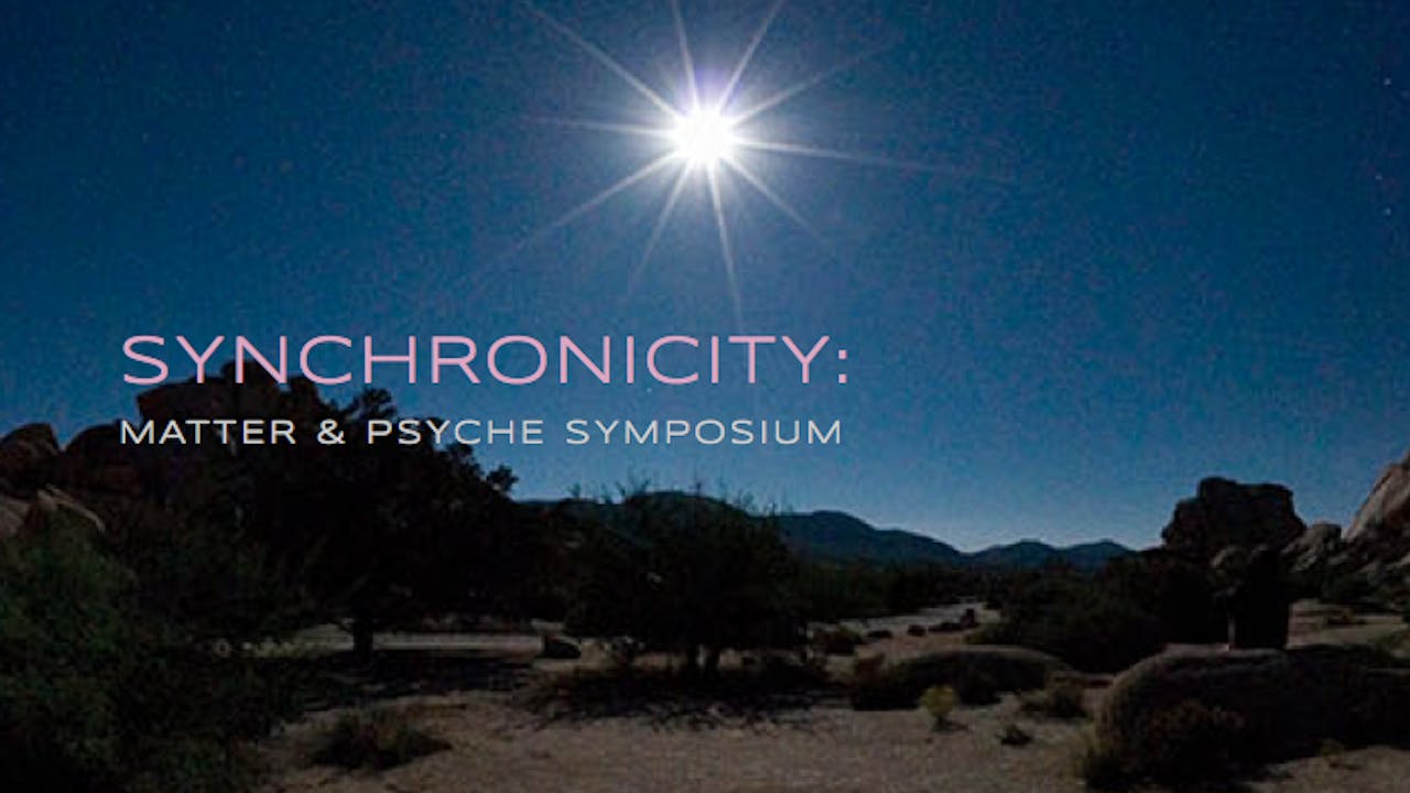 Synchronicity Symposium 2014 Package
