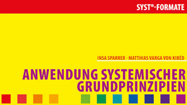 Anwendung systemischer Grundprinzipien