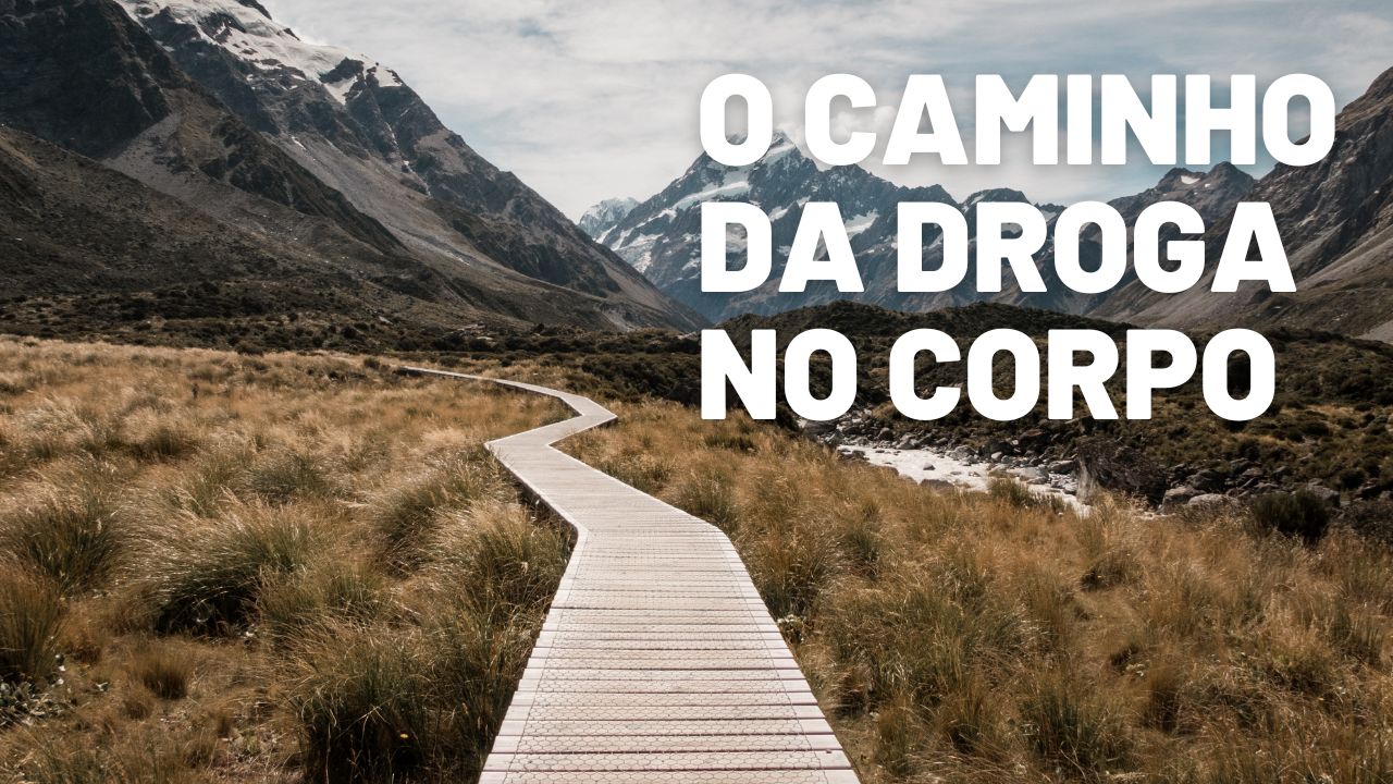 AULA 7 - FARMACOCINÉTICA DOS CANABINÓIDES