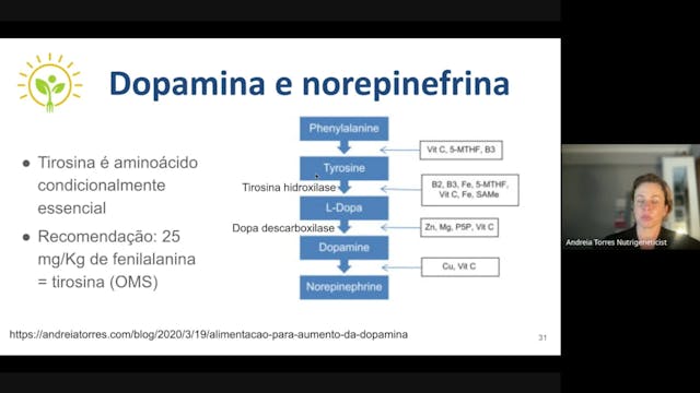 Aula 7 - Dopamina e norepinefrina