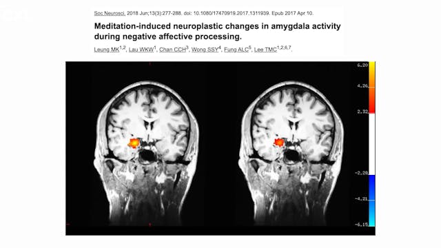 Neurosciencia