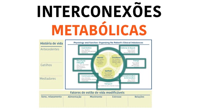 Teia das interrelações metabólicas