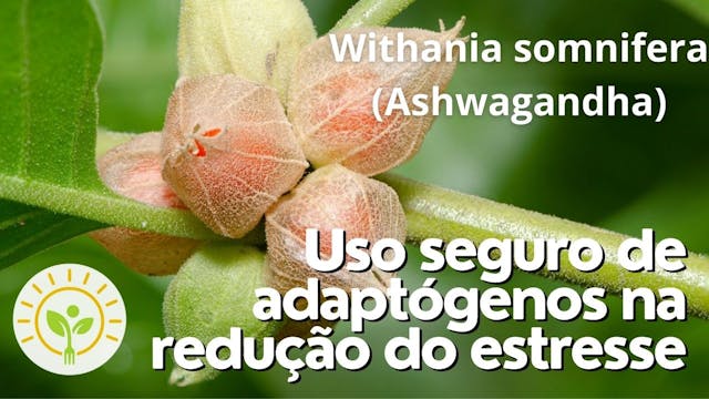Plantas do Ayurveda: Ashwagandha (Wit...