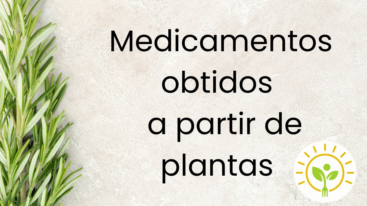 FITOTERÁPICOS NO TRATAMENTO DO ALZHEIMER