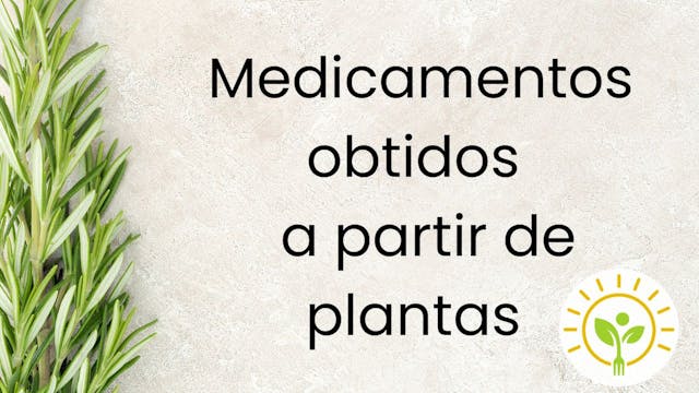 FITOTERÁPICOS NO TRATAMENTO DO ALZHEIMER