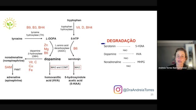 Aula 6 - Exames metabolômicos e gené...