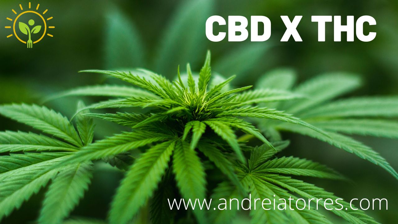 PARTE 2 - FITOCANABINÓIDES