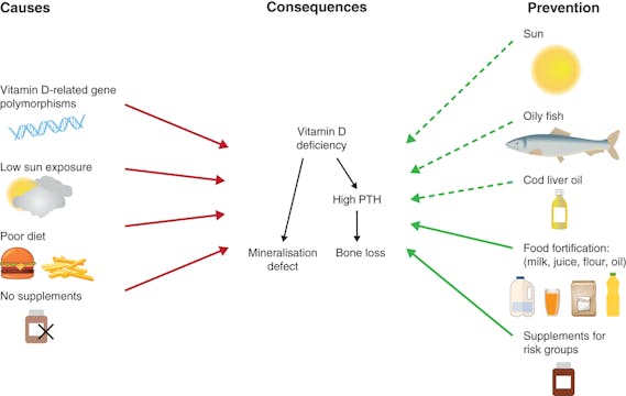 Vitamina D