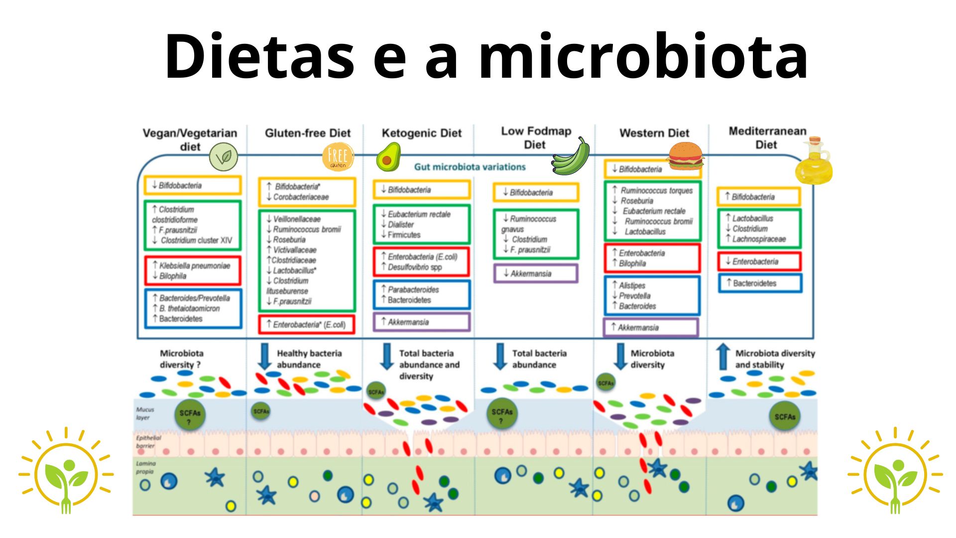 Influência da dieta na microbiota intestinal