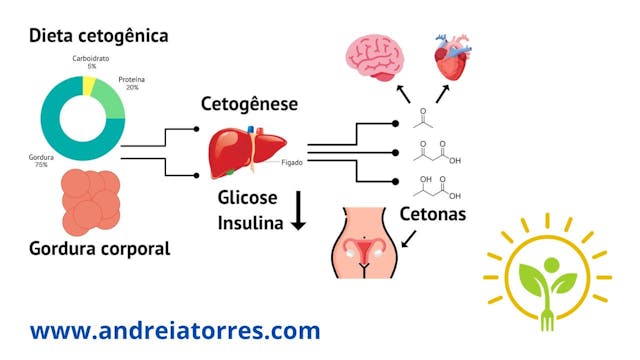 Síndrome dos ovários policísticos + c...