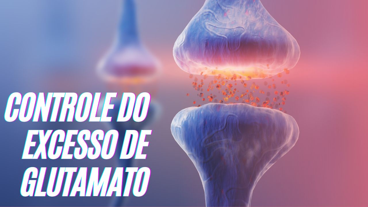 FUNÇÕES E MODULAÇÃO DO GLUTAMATO