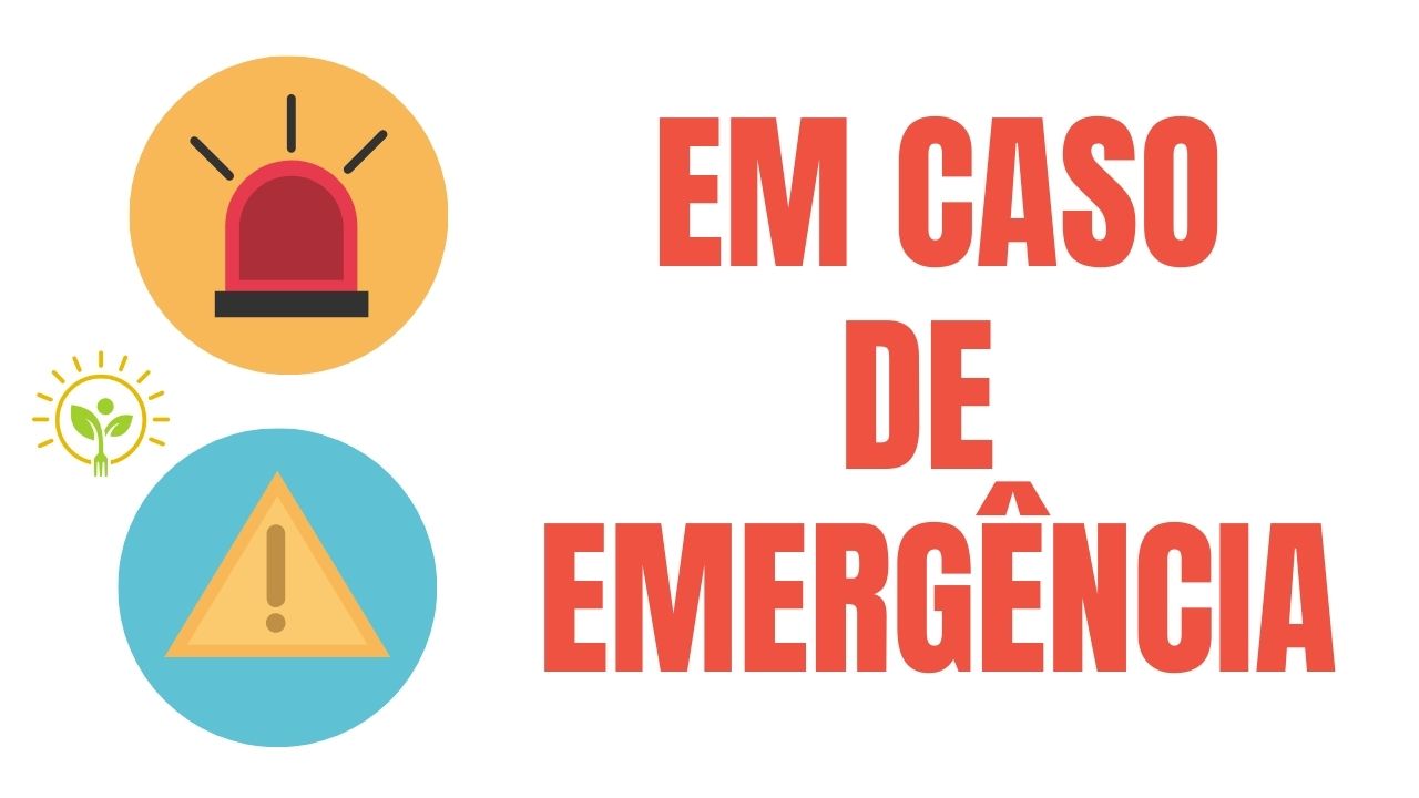 ALIMENTOS EMERGENCIAIS