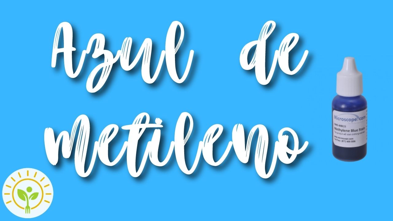 Novas terapias na prevenção e tratamento da doença de Alzheimer