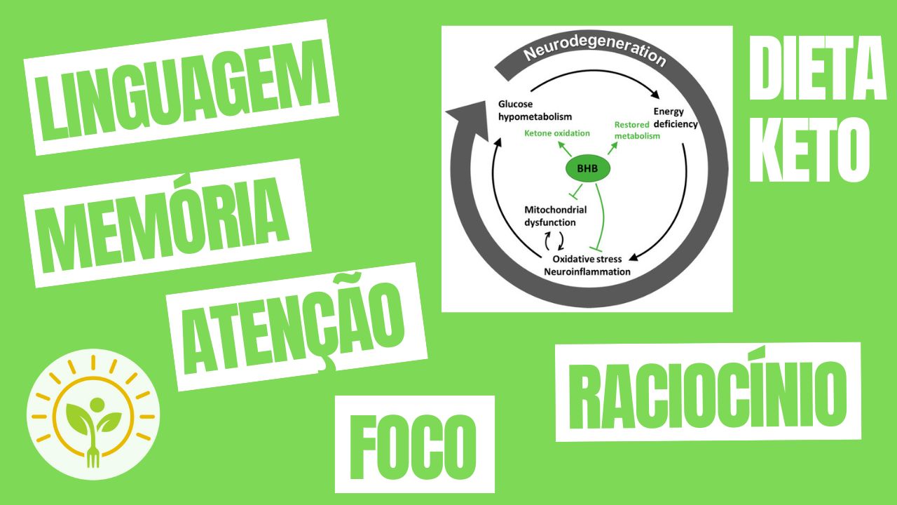 IMPORTÂNCIA DOS CORPOS CETÔNICOS PARA O CÉREBRO