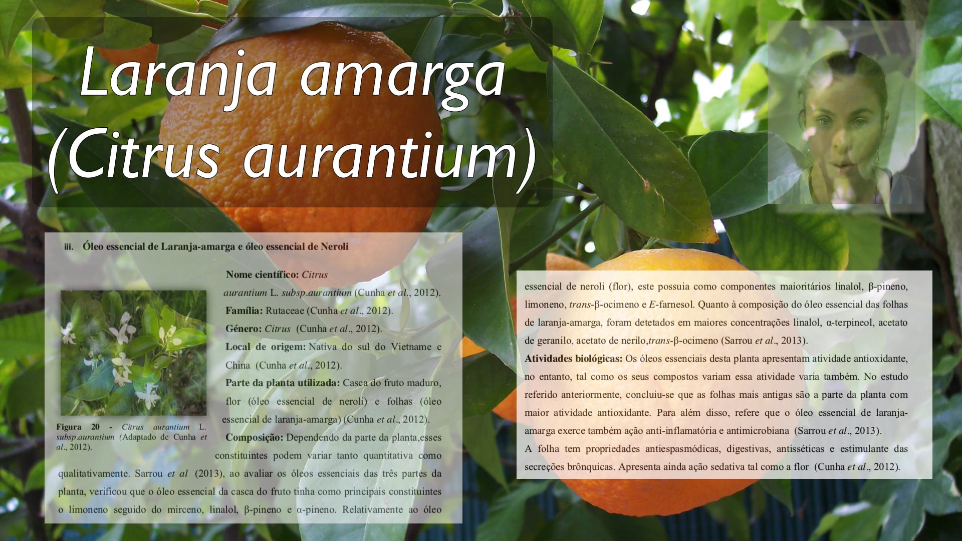 Óleo de laranja amarga