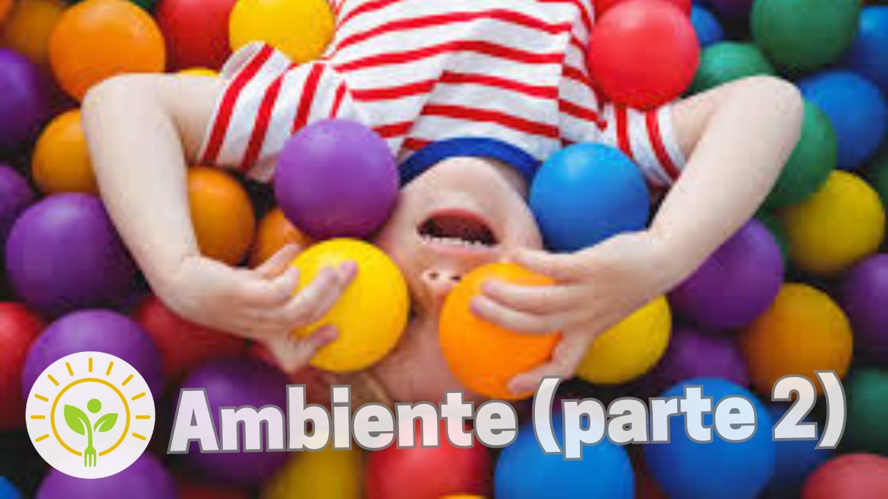 Fatores ambientais do TEA (Parte 2)