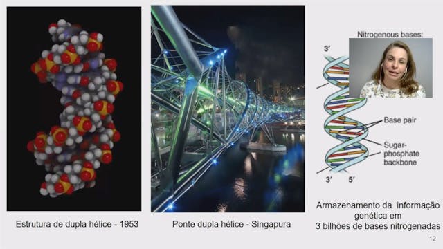 Doses adequadas da suplementação