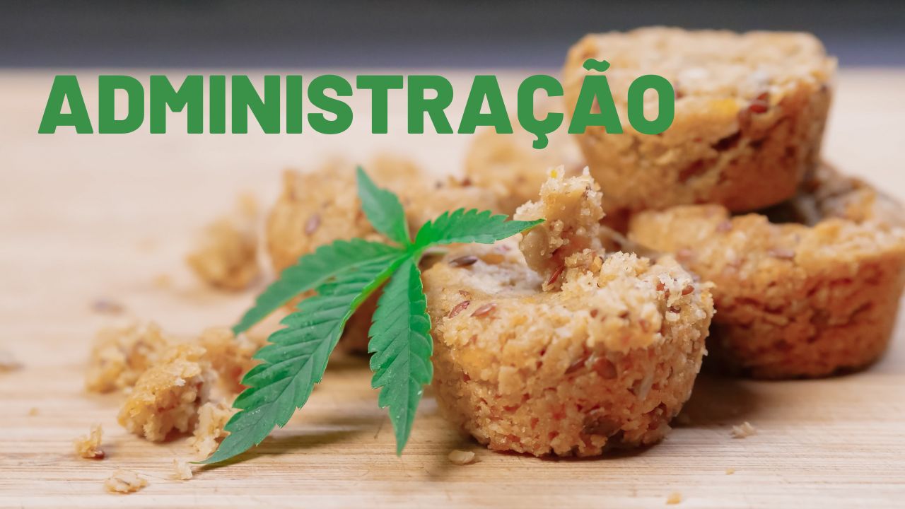 AULA 6 - Vias de administração 