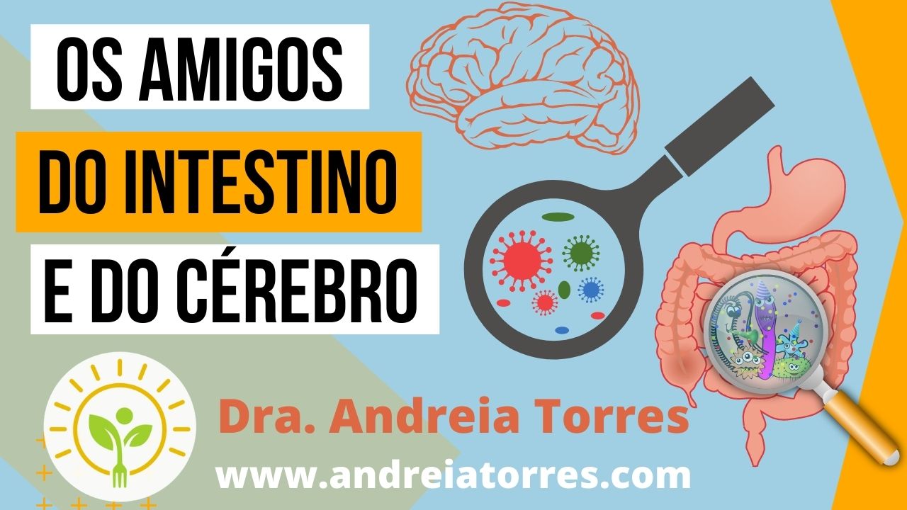 O que são probióticos?