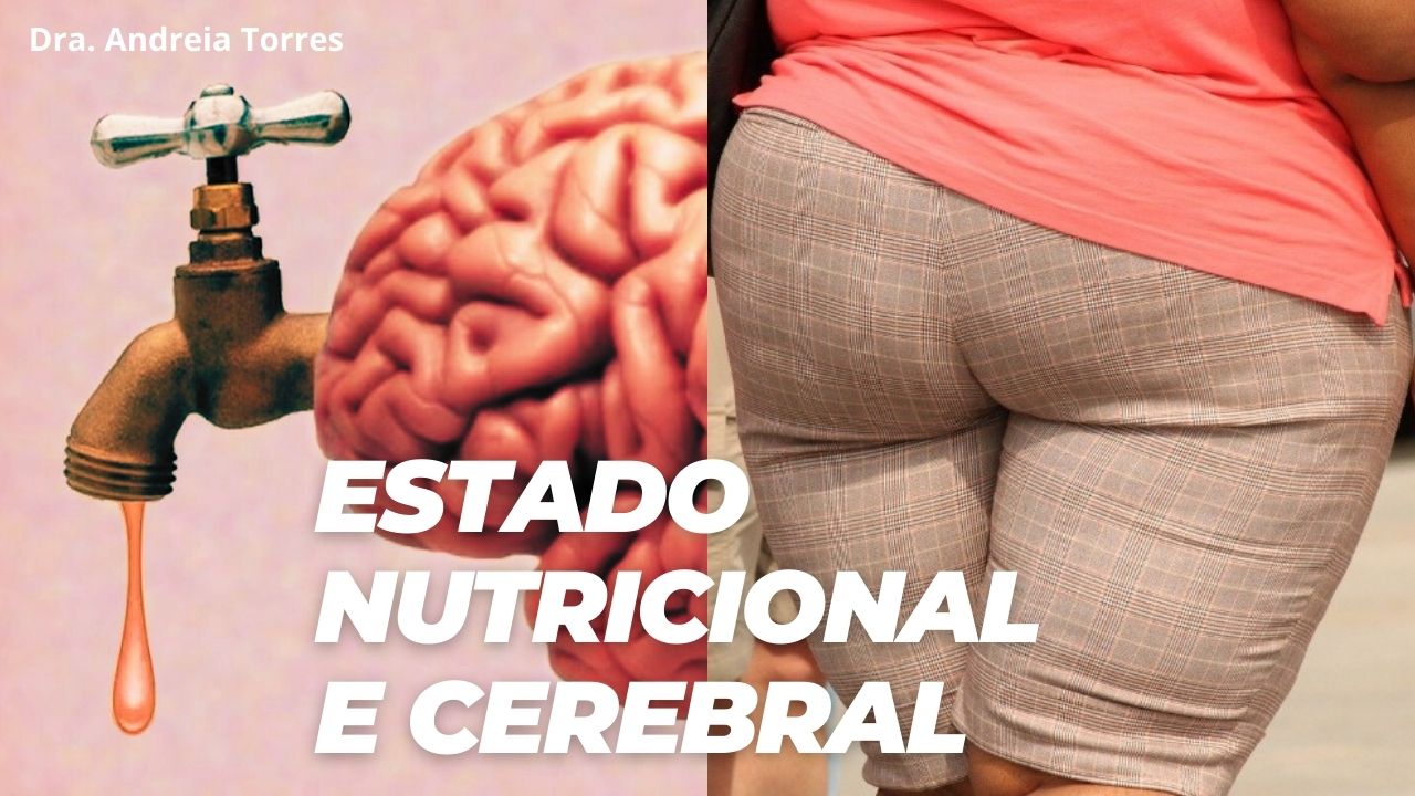 Estado nutricional do brasileiro e influência no sistema nervoso
