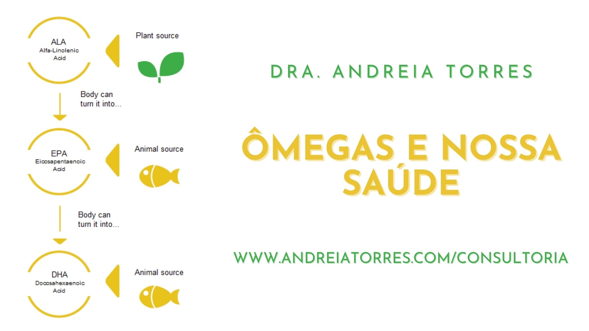 ÔMEGAS E NOSSA SAÚDE