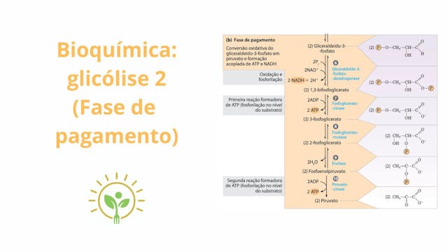 Gilcólise - parte 2