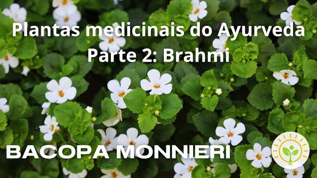 Plantas do Ayurveda:  BACOPA MONNIERI