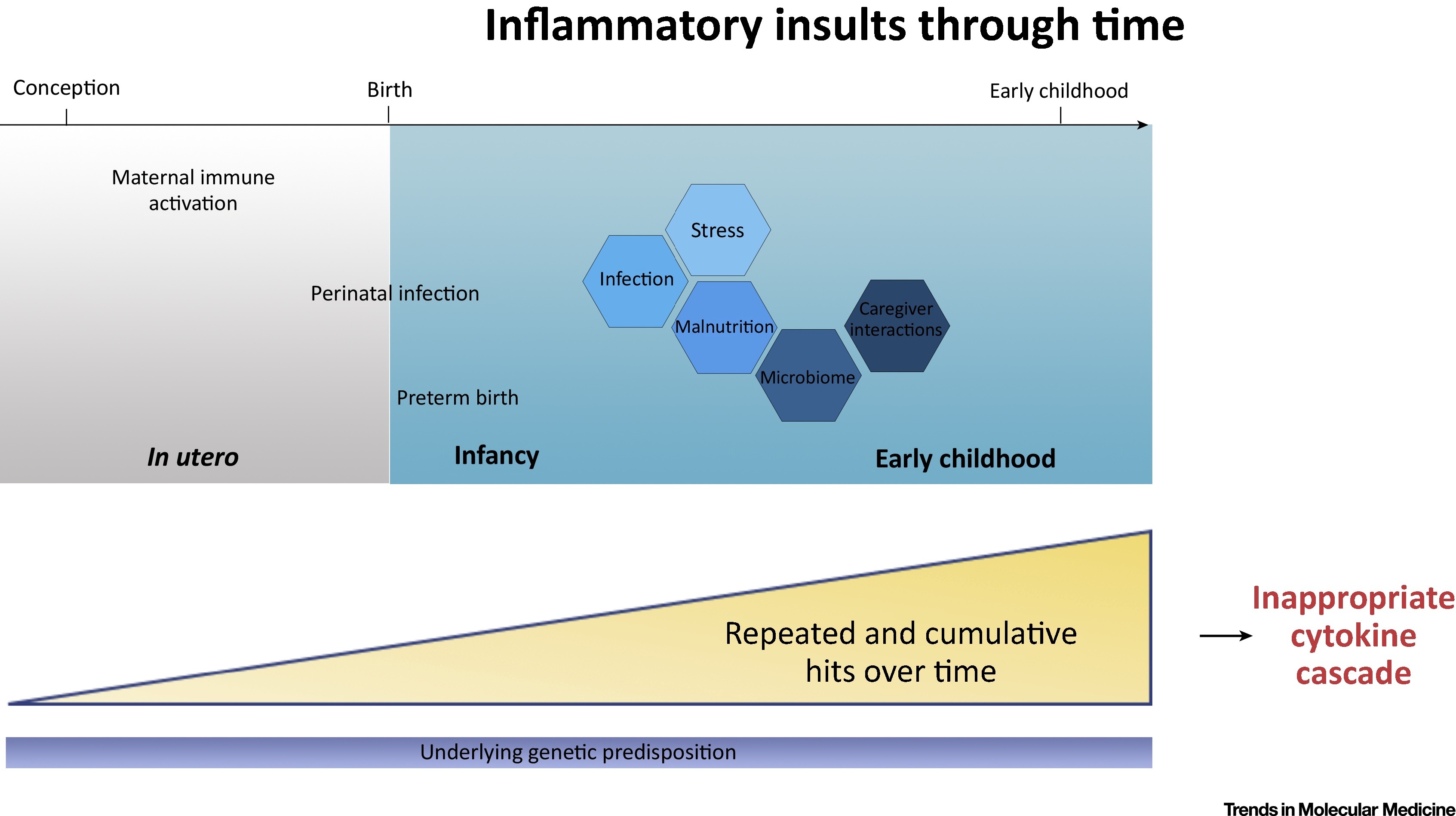 Fatores que afetam o neurodesenvolvimento