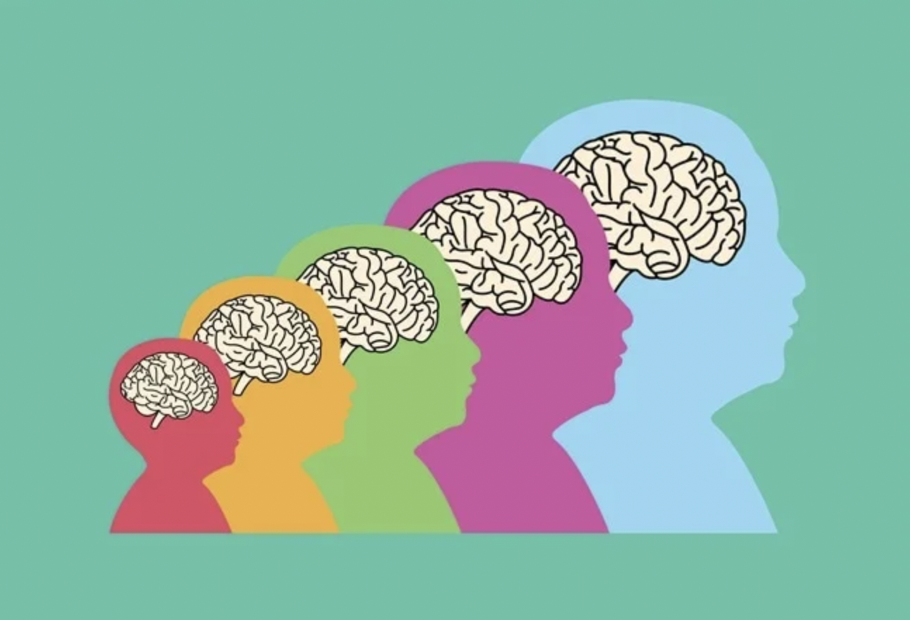 Neurodesenvolvimento