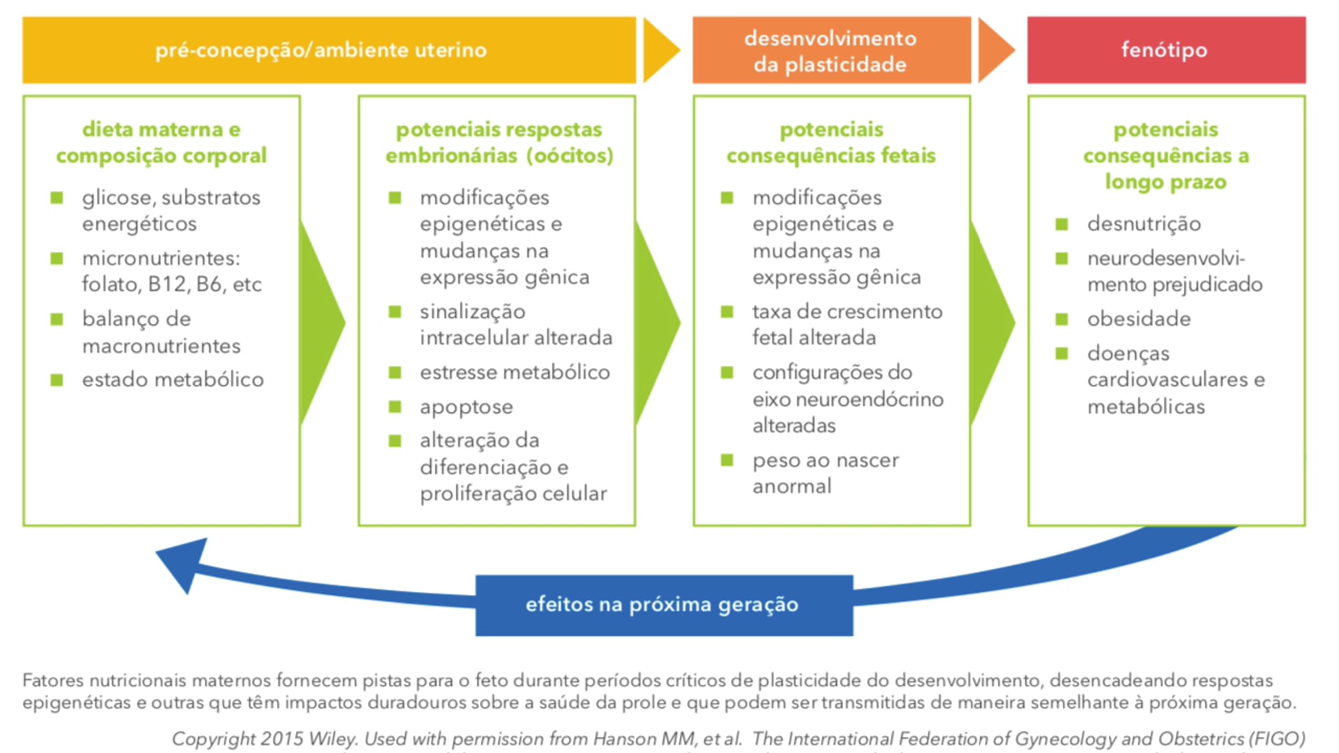 Nutrientes para os 1.100 dias mais importantes da vida
