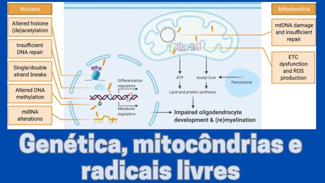 Genética e estresse oxidativo