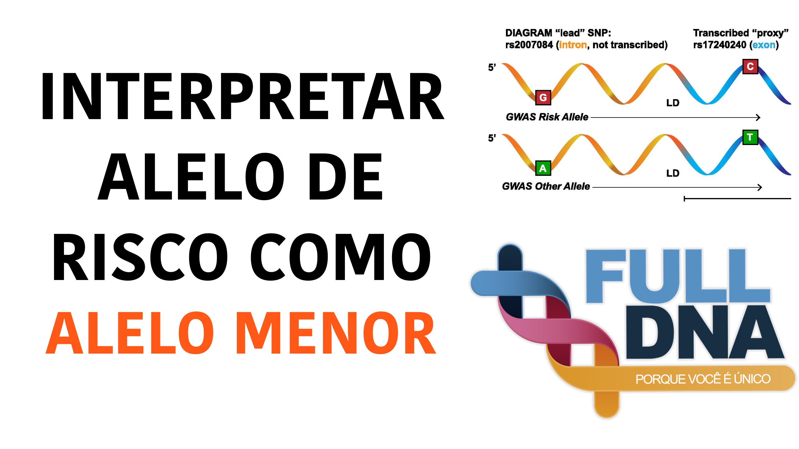 Interpretação do alelo de risco nos paineis da FULLDNA