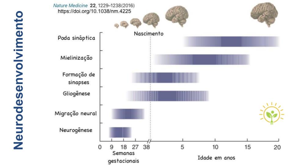 O neurodesenvolvimento
