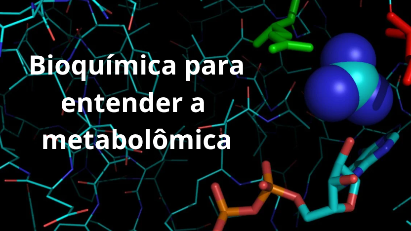 Bioquímica