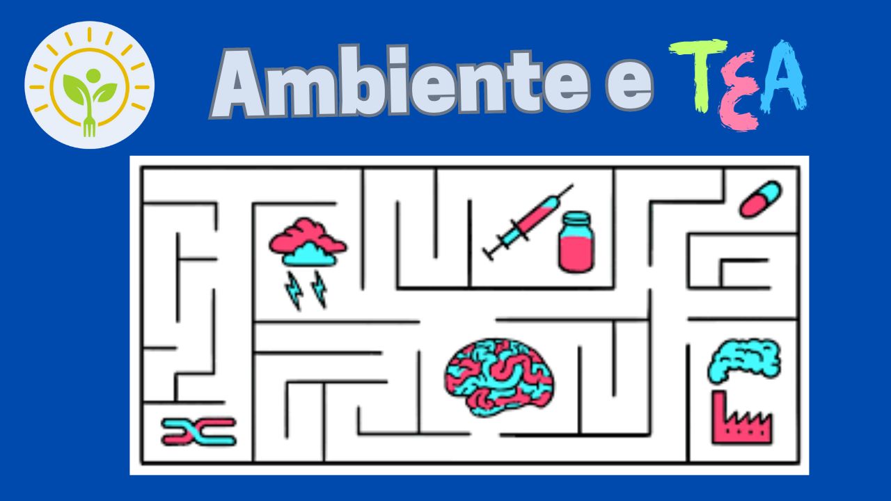 Fatores ambientais do TEA (Parte1)