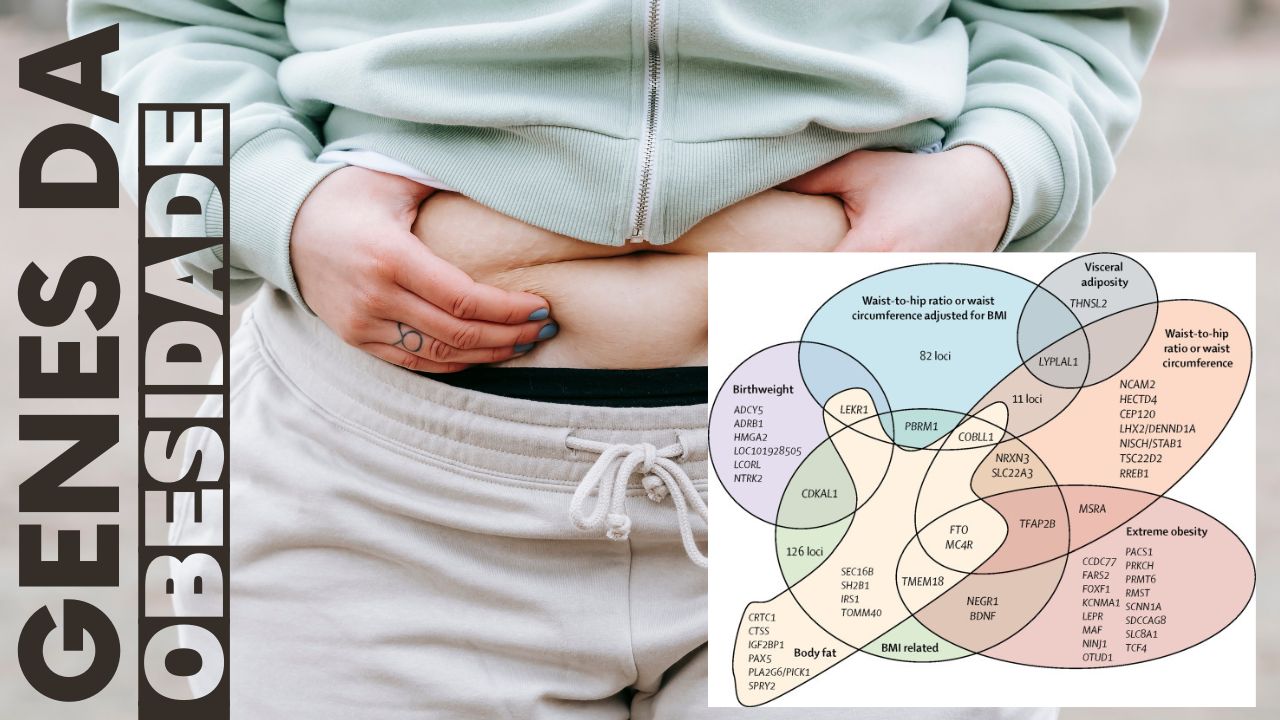 Genes relacionados ao ganho de peso