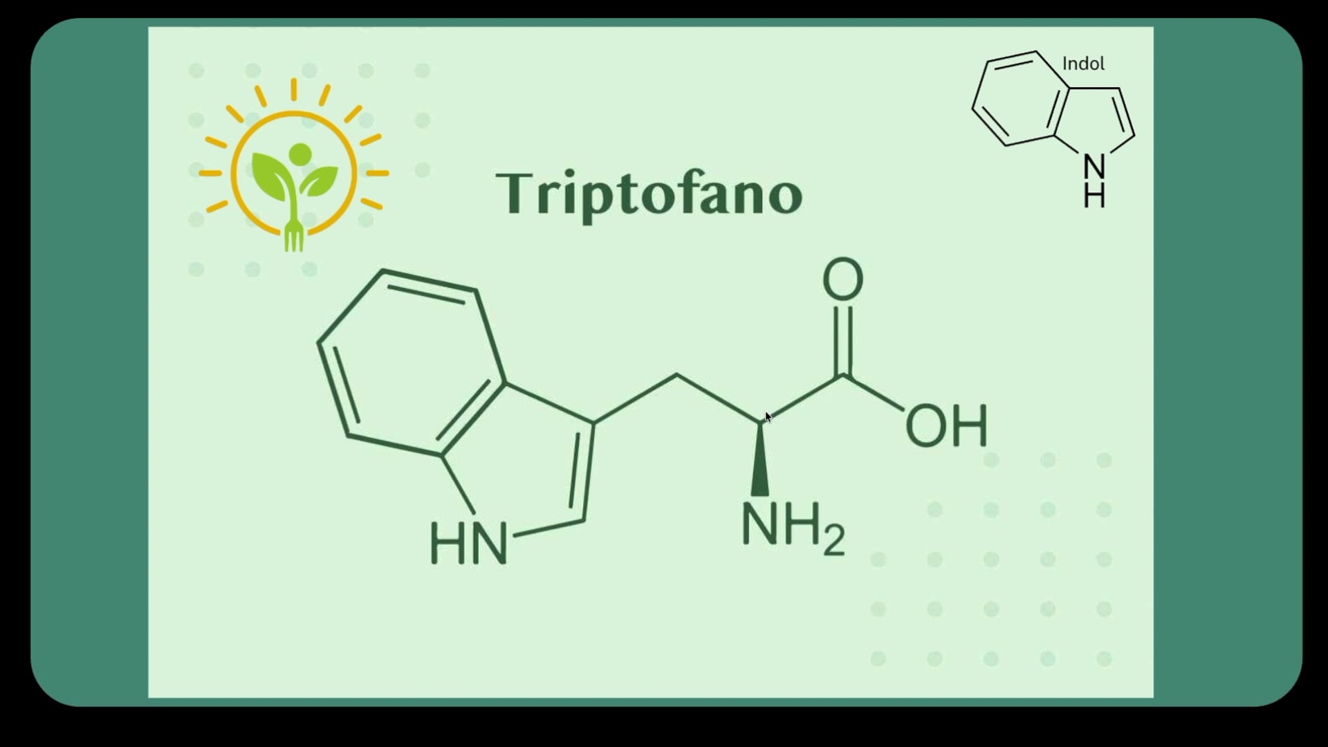 Metabolismo do triptofano