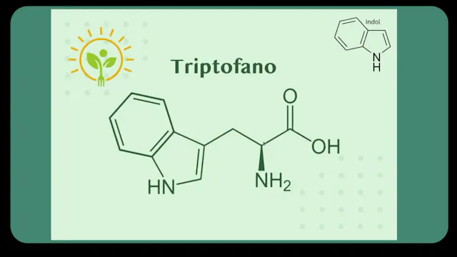 Metabolismo do triptofano