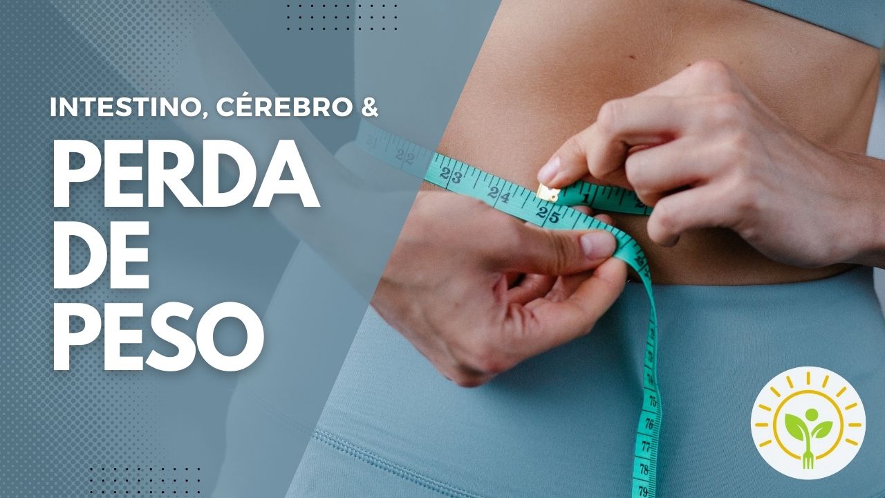 Intestino, cérebro e obesidade