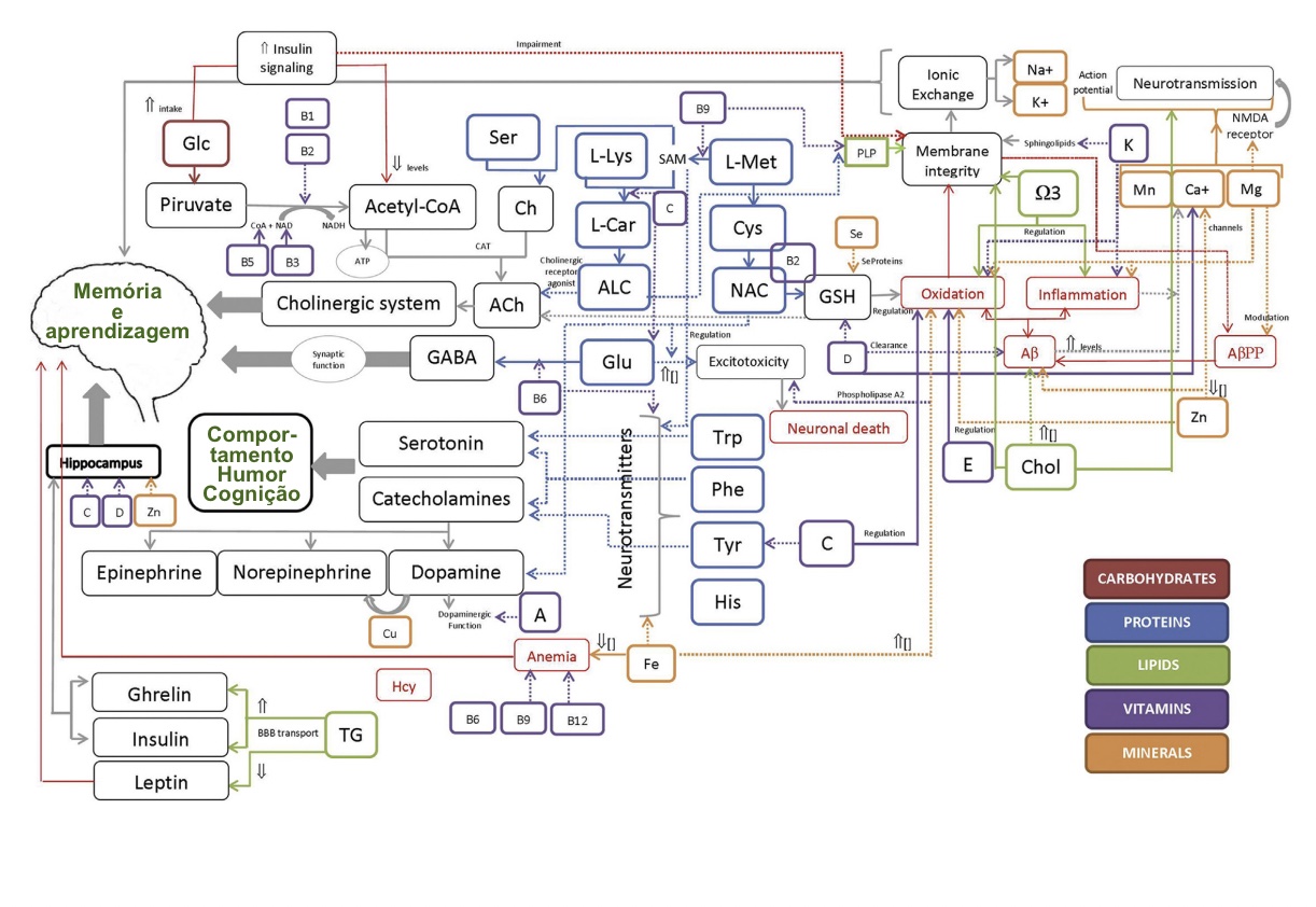 Nutrientes importantes para o cérebro