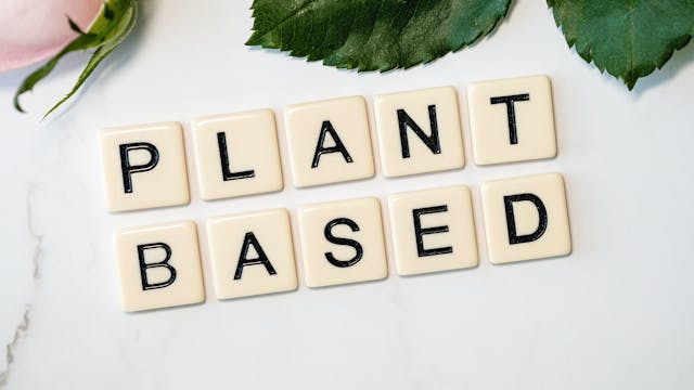 Protocolo plant based